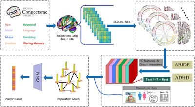 TSP-GNN: a novel neuropsychiatric disorder classification framework based on task-specific prior knowledge and graph neural network